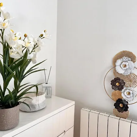 Appartement Cocon A Coty Le Havre